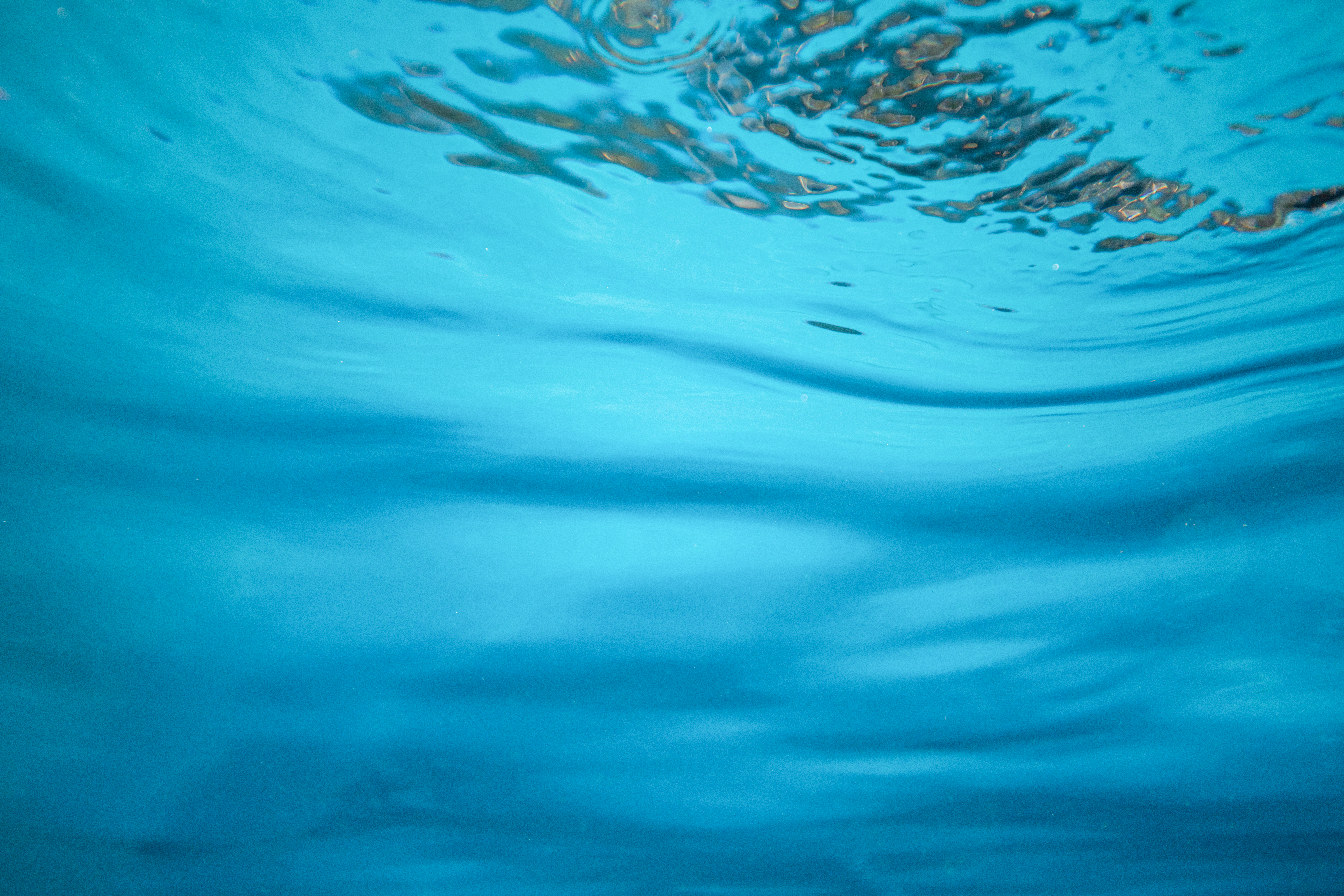 Backyard pool library shoot for Pentair in Encino, Califorrnia. September 23, 2021. Tracy + David Stills and Motion
