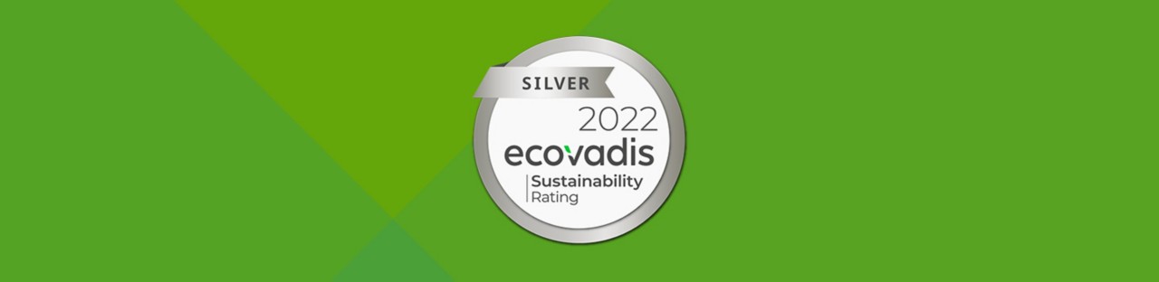 Ecovadis logo on green field with angles